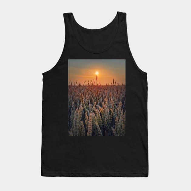 summer sun above the wheat field Tank Top by psychoshadow